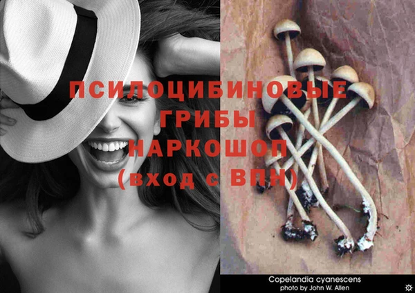 первитин Балахна