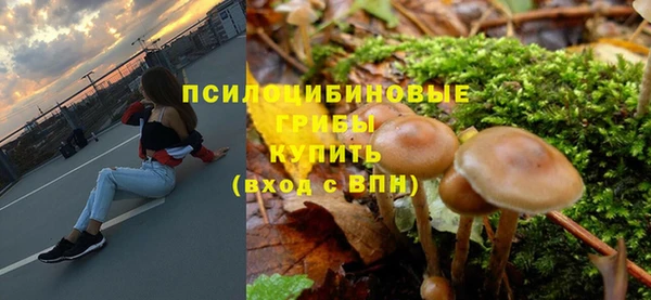 первитин Балахна